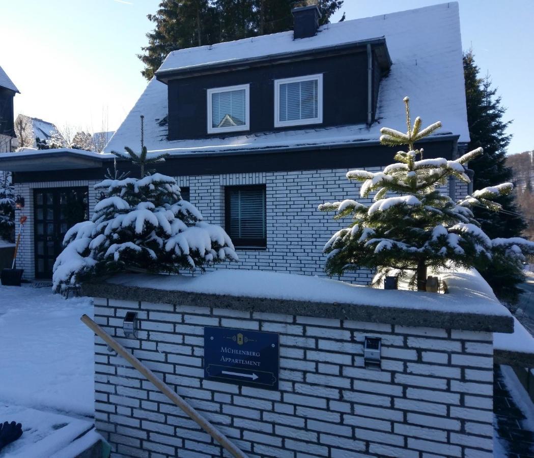 Apartment Muehlenberg Winterberg Dış mekan fotoğraf